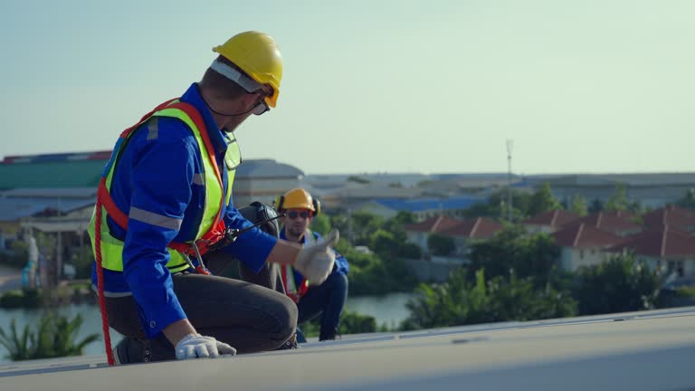 Best Roof Ventilation Installation  in Hoschton, GA